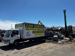 Best Residential Junk Removal  in Washoe Valley, NV